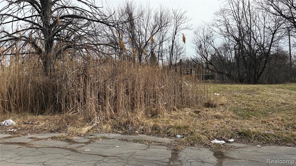 19202 Coventry Street, Highland Park, MI 48203 — Photo 2