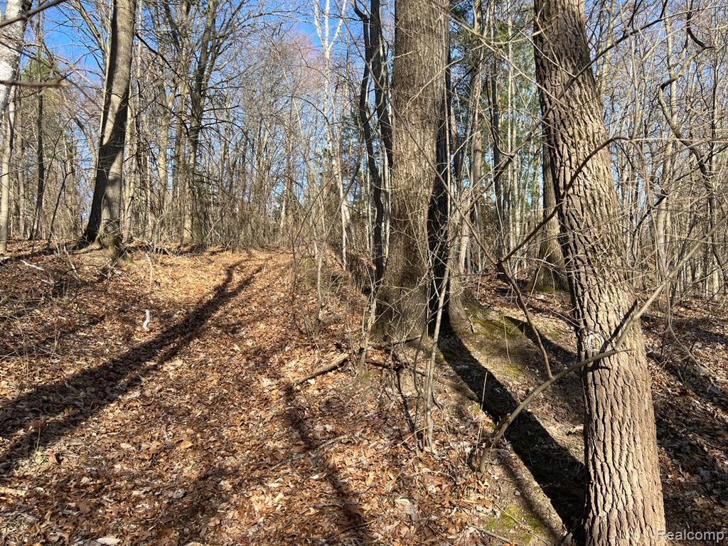 4065 Achtu Trail, Lapeer, MI 48446 — Photo 35