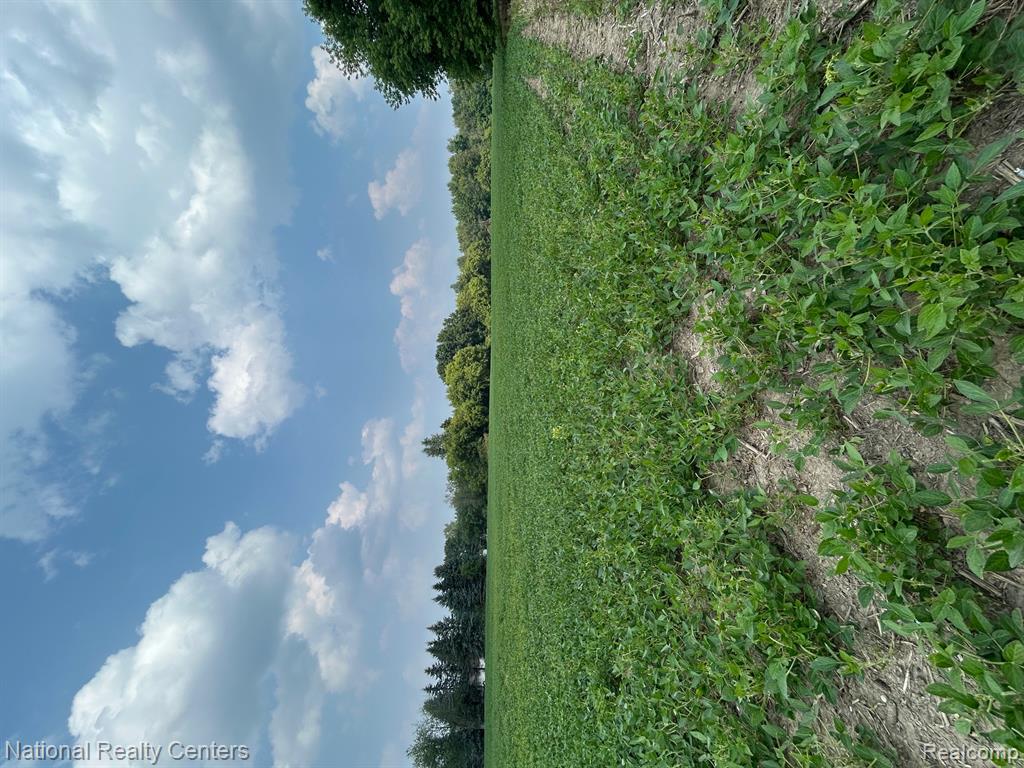 5438 N Henderson Road, Davison, MI 48423 — Photo 2