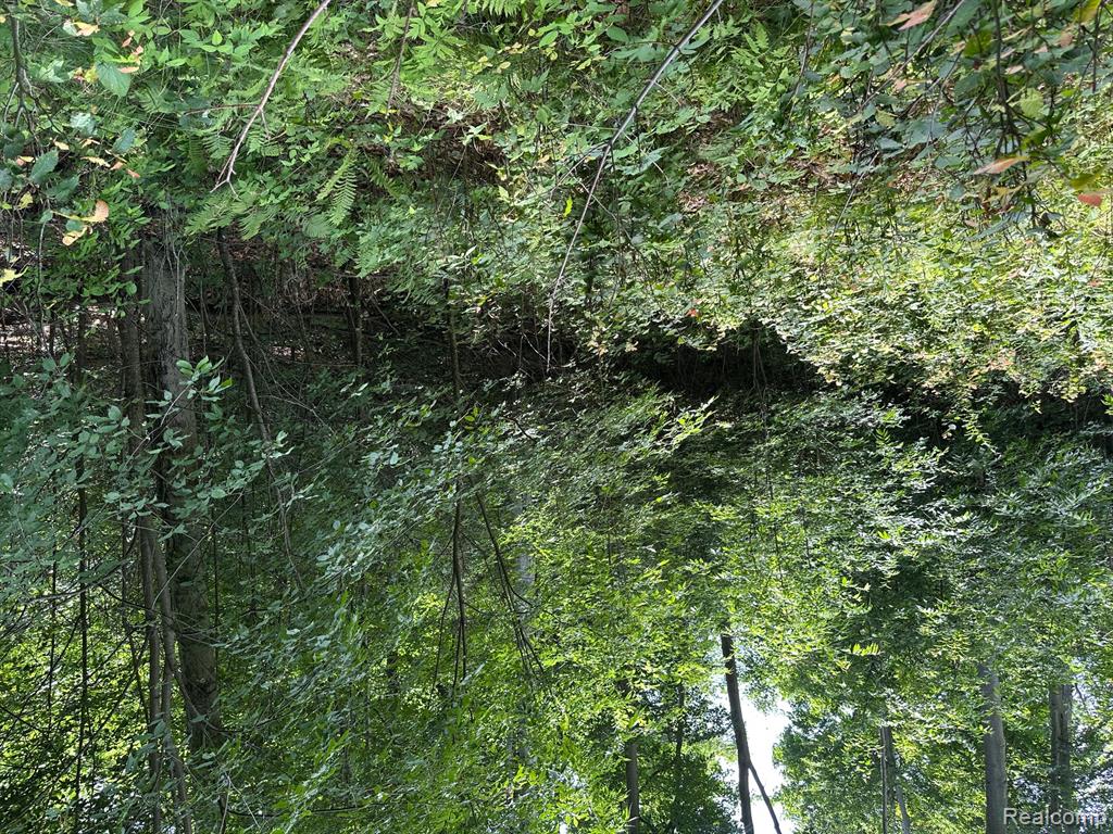 Parcel A Lake Bluff Drive, Arcadia, MI 49613 — Photo 11