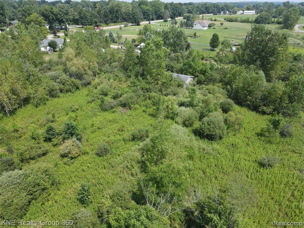 4932 Mack Road, Howell, MI 48855 — Photo 5