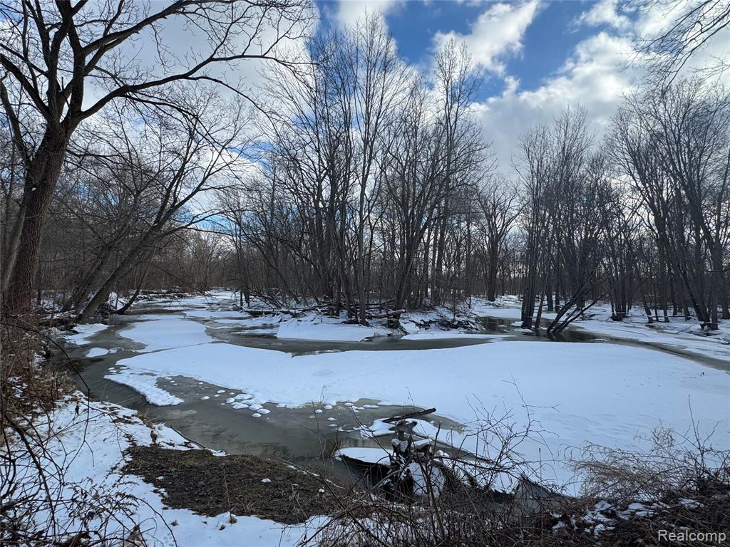 01 Remer Road, China, MI — Photo 5