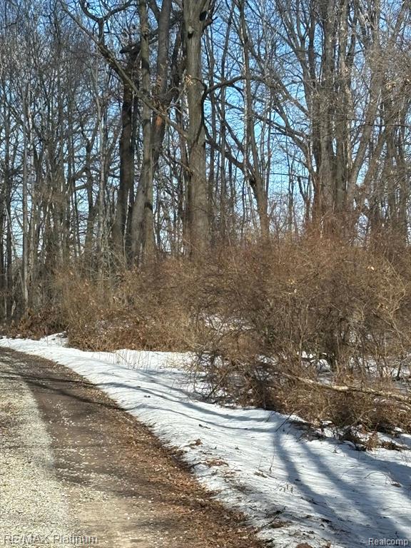 V/L TIPSICO LAKE ROAD, Holly, MI 48442 — Photo 14