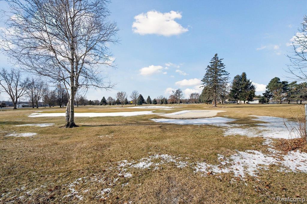 13611 S CUSTER Road Road, Dundee, MI 48131 — Photo 57