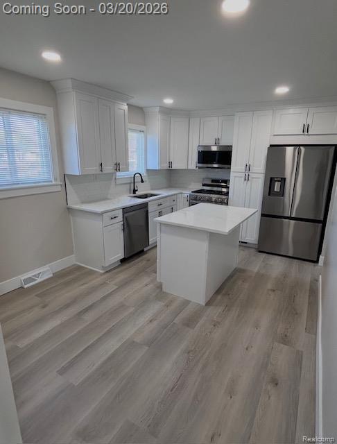 7208 Bluebill Street, Clay, MI 48001 — Photo 11