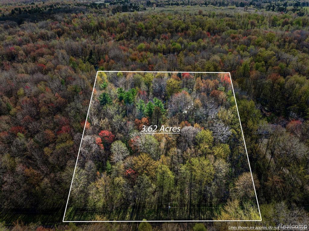 6799 Maplegrove Road, Vassar, MI 48768 — front exterior