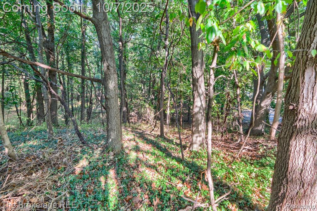 4950 Iroquois Boulevard, Clarkston, MI 48348 — Photo 6