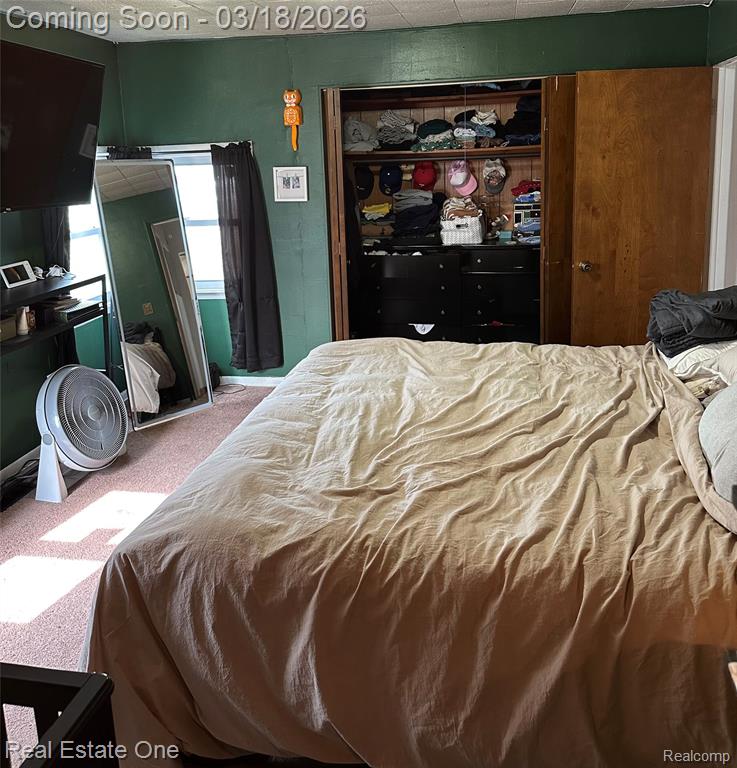 200 S Hayes Street, Farwell, MI 48622 — Photo 16