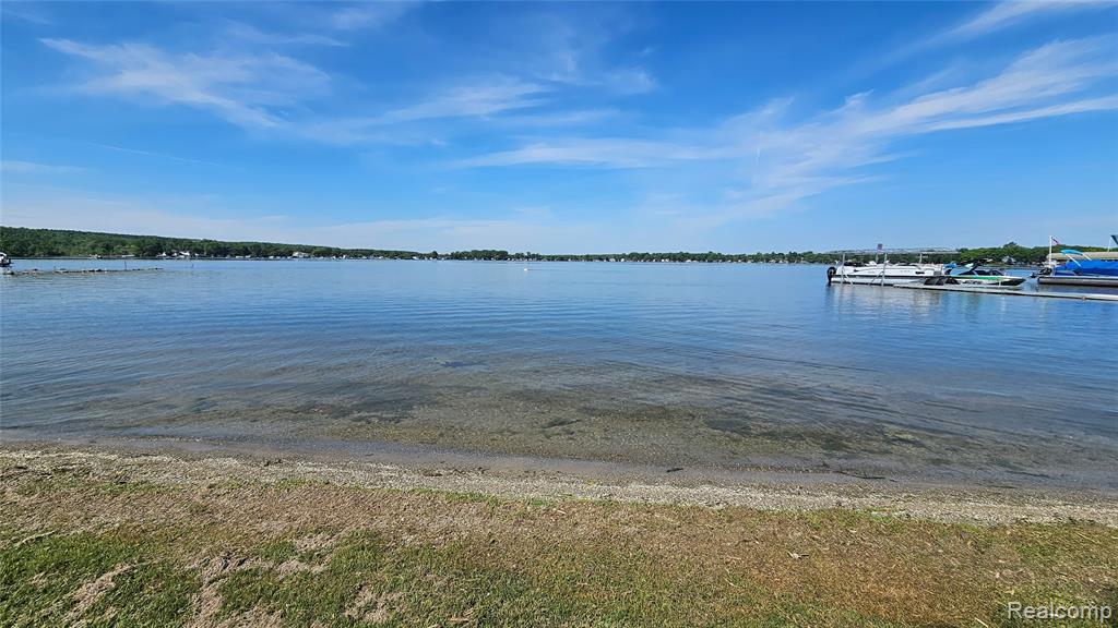 9619 Portage Lake Avenue, Pinckney, MI 48169 — Photo 2