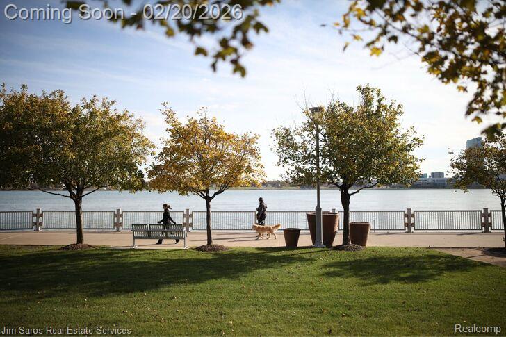 250 E Harbortown Drive, 607, Detroit, MI 48207 — Photo 21