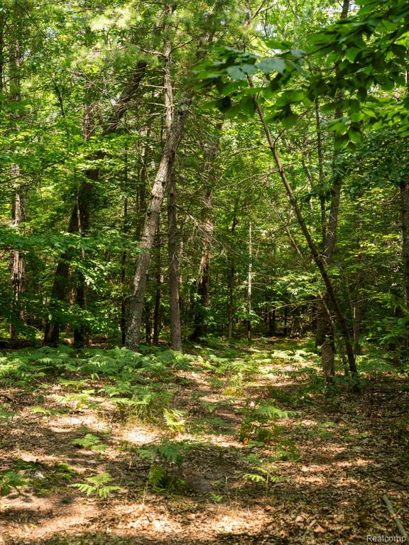 5070 Duck Lake Road, Whitehall, MI 49461 — Photo 48