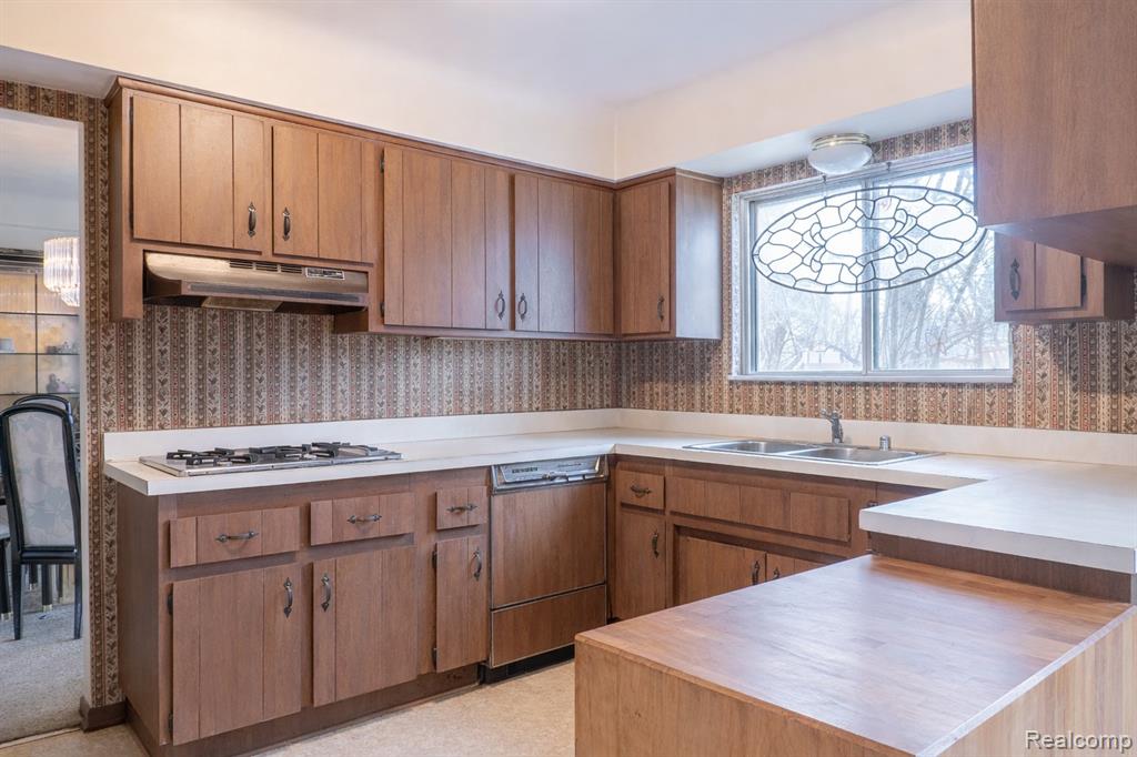 8362 Sunburst, Center Line, MI 48015 — Photo 15
