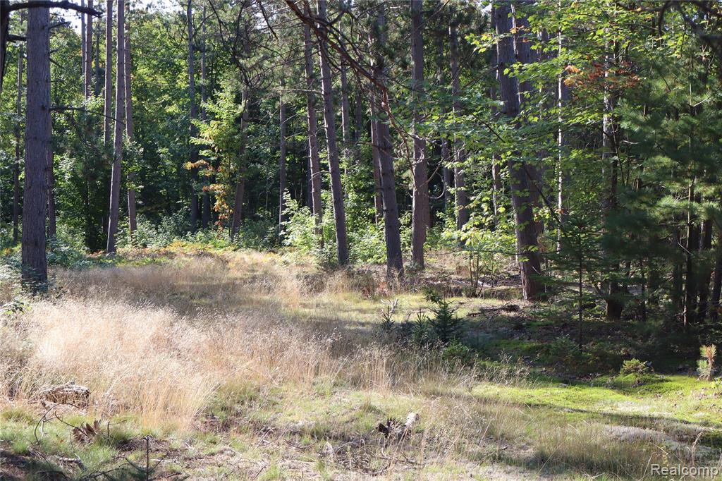 Lot D W Pendills Lake Road, Brimley, MI 49715 — Photo 47