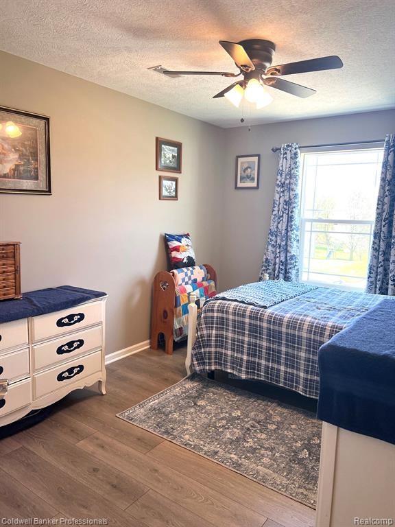 301 Saphire Street, Morrice, MI 48857 — Photo 12
