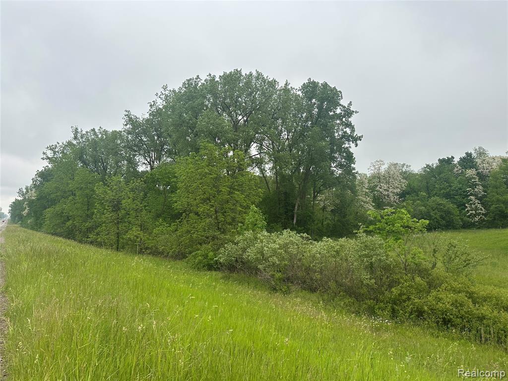 VL Mertz Road, Mayville Vlg, MI 48744 — Photo 9