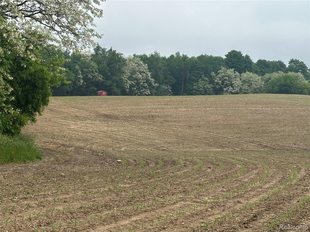 VL Mertz Road, Mayville Vlg, MI 48744 — Photo 2