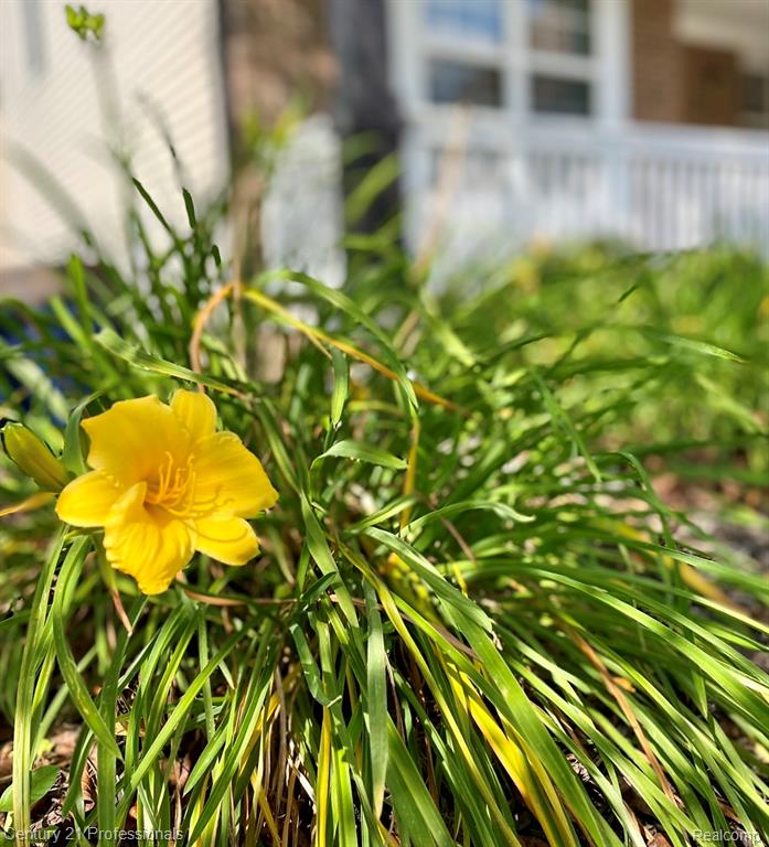 778 W Peninsula Court, Oxford, MI, 48371