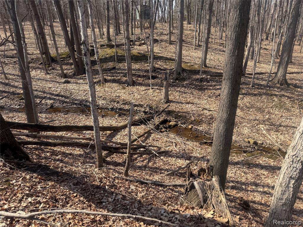 V/L Fulton, Mayville Vlg, MI 48744 — Photo 26