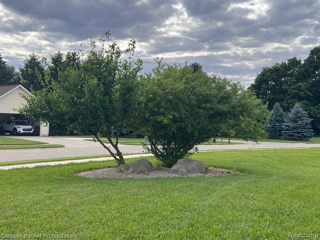 301 Saphire Street, Morrice, MI 48857 — Photo 22
