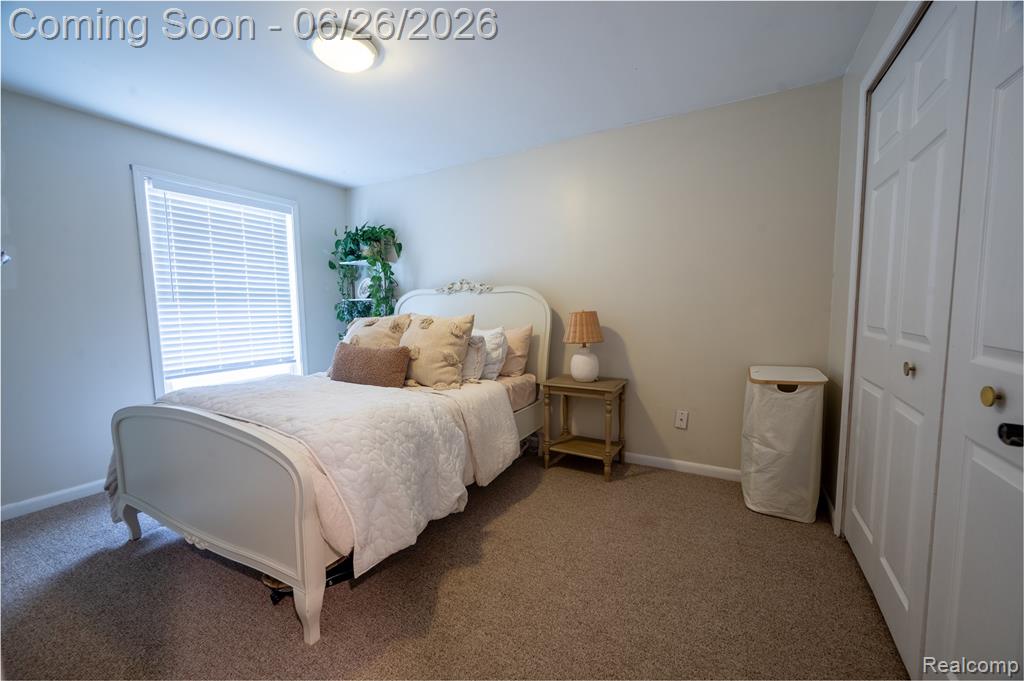 429 Dorothy Street, South Lyon, MI 48178 — Photo 22