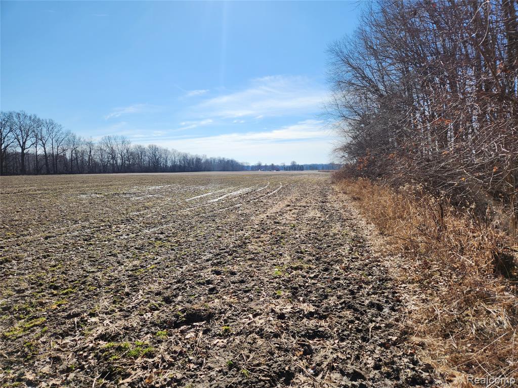 Lot #12 Kunstman Road, Ray, MI 48096 — Photo 7