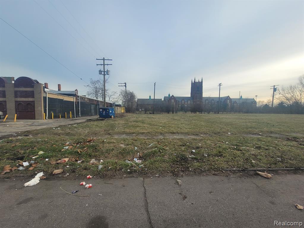 2629 ROCHESTER Street, Detroit, MI 48206 — Photo 6