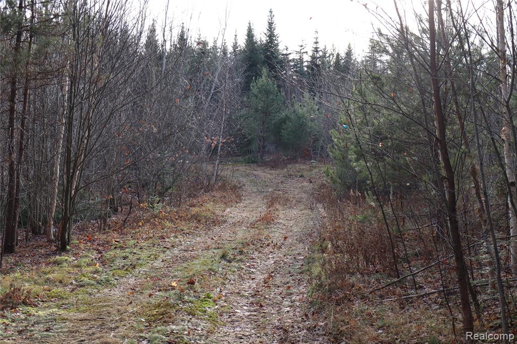 #A W Pendills Lake Road, Brimley, MI 49715 — Photo 40