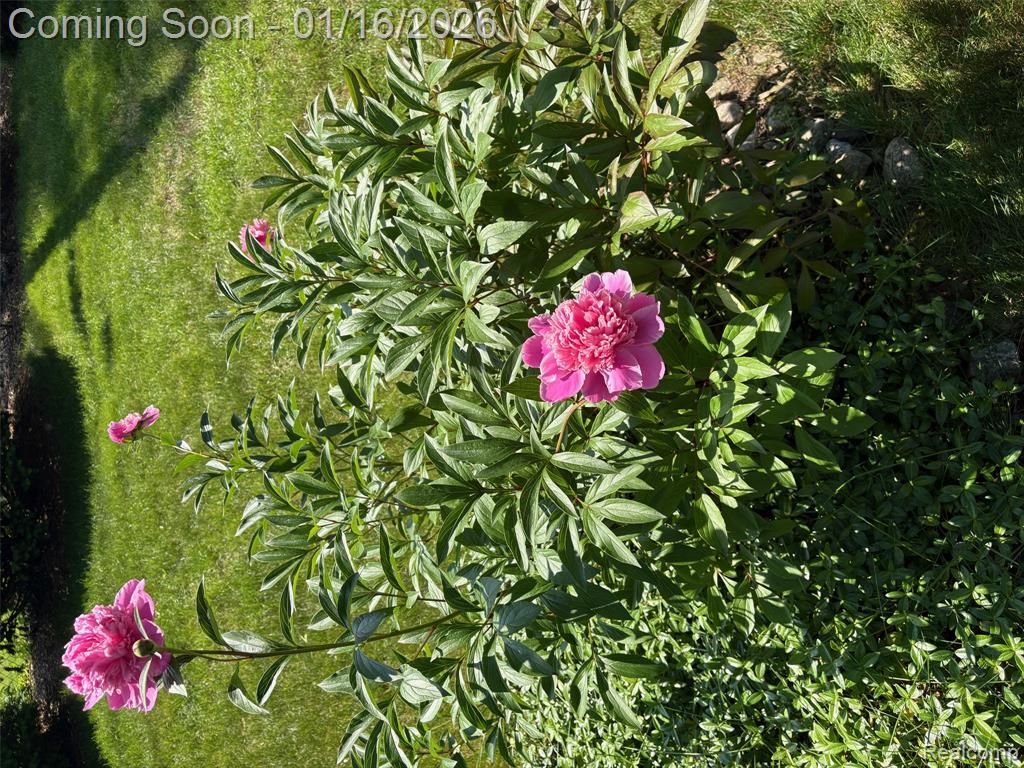 946 Novi Street, Northville, MI 48167 — Photo 20