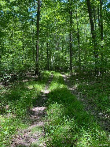 V/L UNDERWOOD Road, Caro, MI 48723 — Photo 9