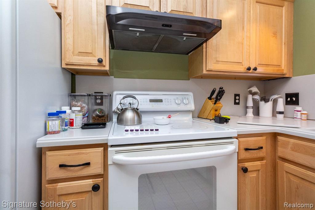 424 Oak Run Court, 11, Royal Oak, MI 48073 — Photo 20
