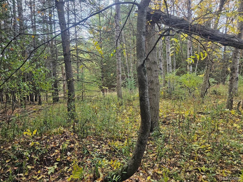 4901 M-55, Tawas City, MI 48763 — Photo 21