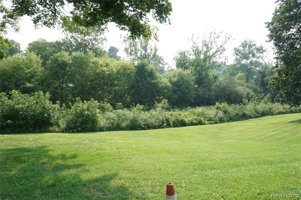 Vacant Lola Drive, Redford, MI 48239 — Photo 3