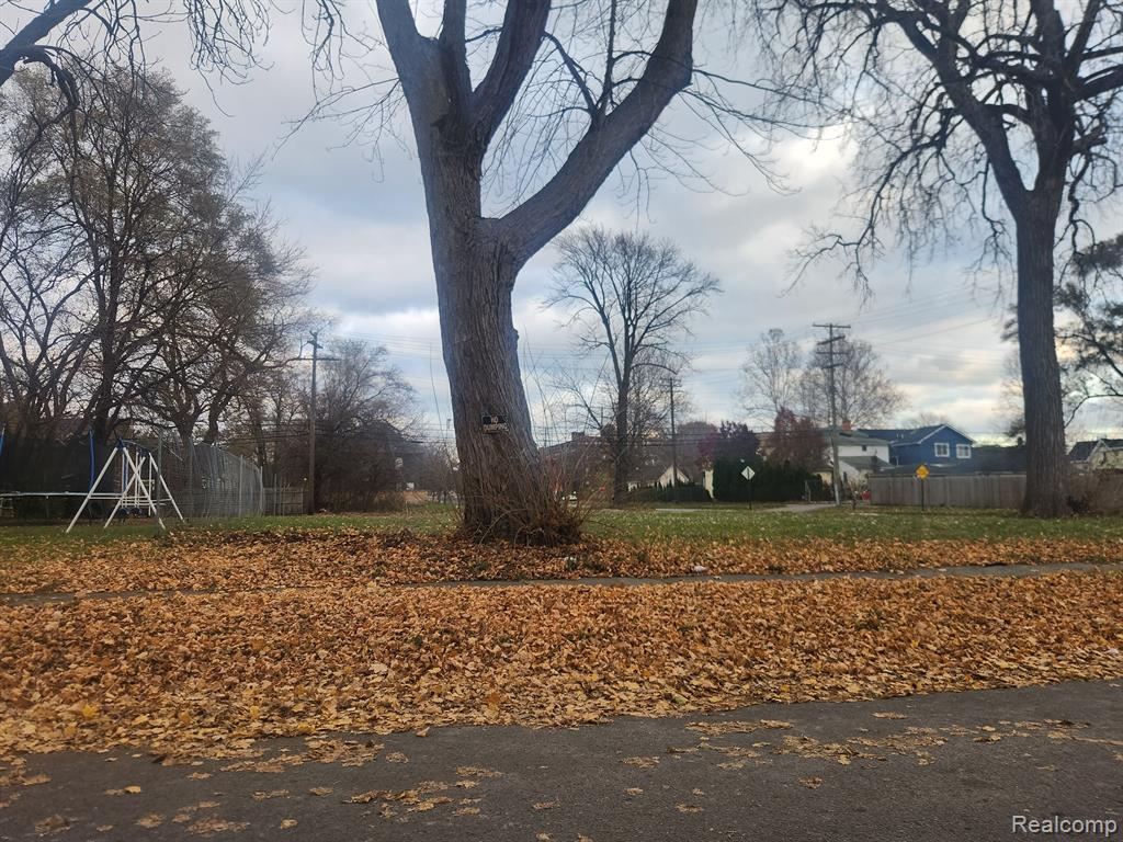 1408 LANSING, Detroit, MI 48209 — Photo 3