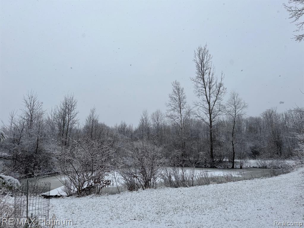 5245 FLEMING ROAD, Fowlerville, MI 48836 — Photo 35