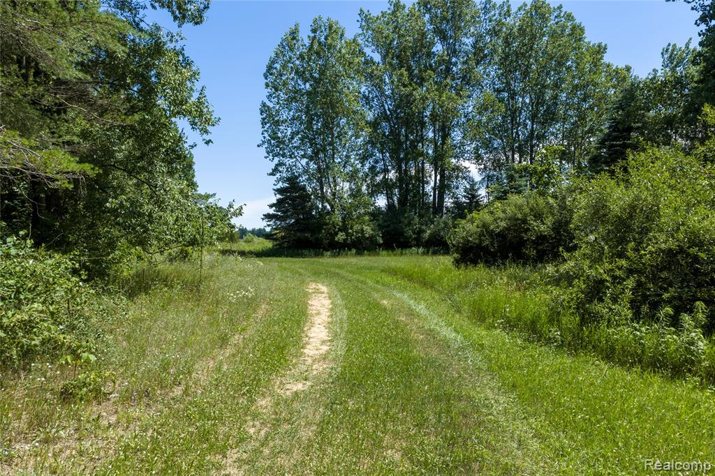 Parcel B Dodge Rd, Cass City, MI 48726 — Photo 10