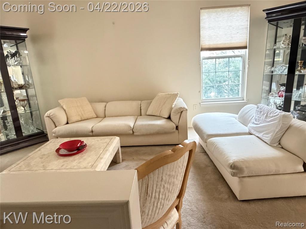 25409 Saint James, Southfield, MI 48075 — Photo 9