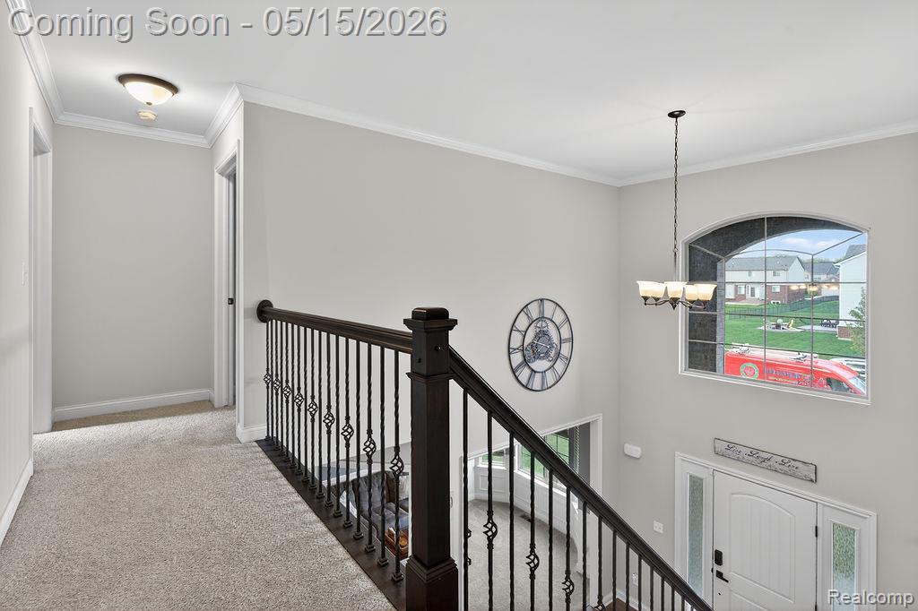49281 Percheron Drive, Macomb, MI 48042 — Photo 28