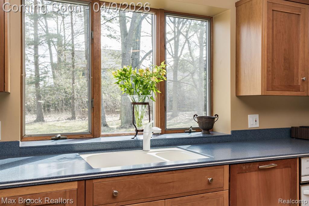 44020 Cottisford Street, Northville, MI 48167 — Photo 12