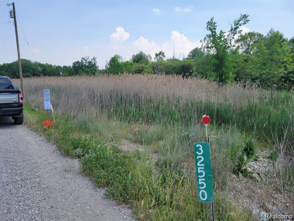 Search Homes for Sale