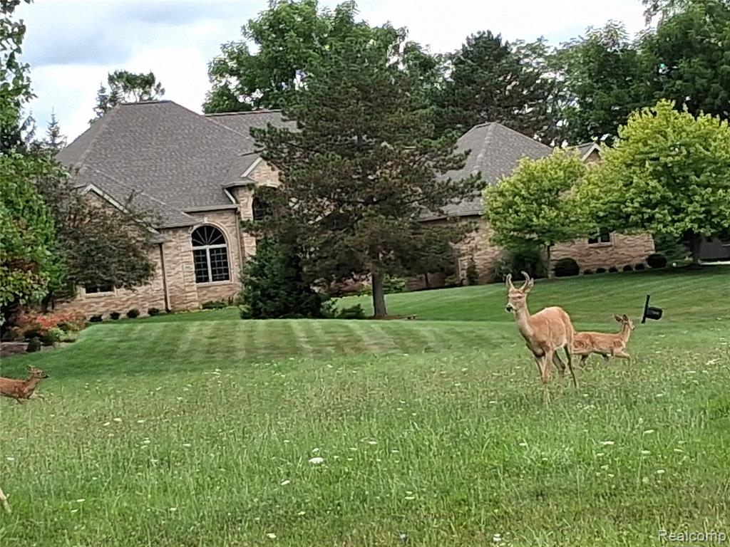 lot 21 Burlwood Circle, Grand Blanc, MI 48439 — Photo 13