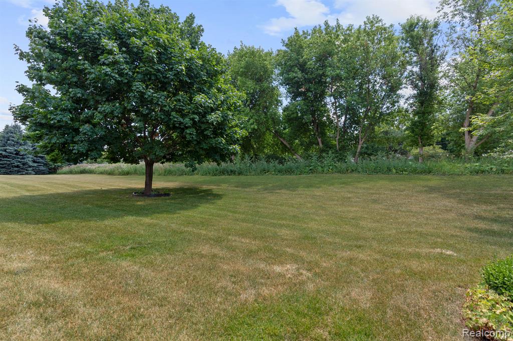 71064 BURLISON Lane, Bruce, MI 48065 — Photo 41