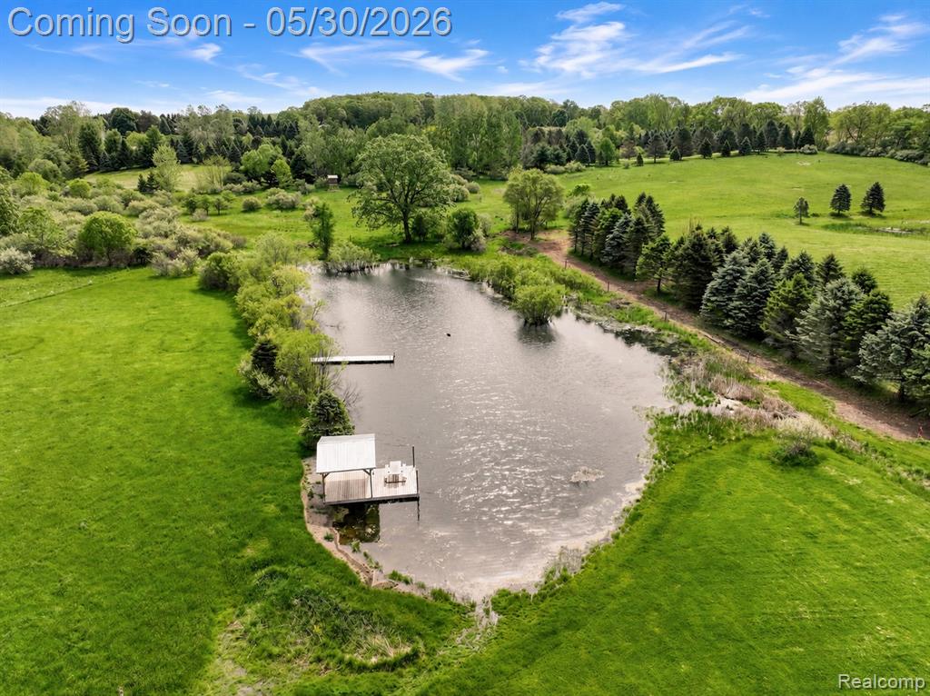 4481 Belford Road, Holly, MI 48442 — Photo 48