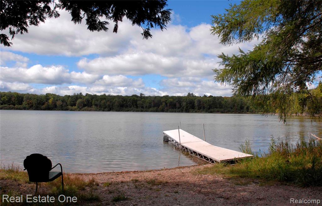 4233 N Pheasant Road, Lincoln, MI 48742 — Photo 26