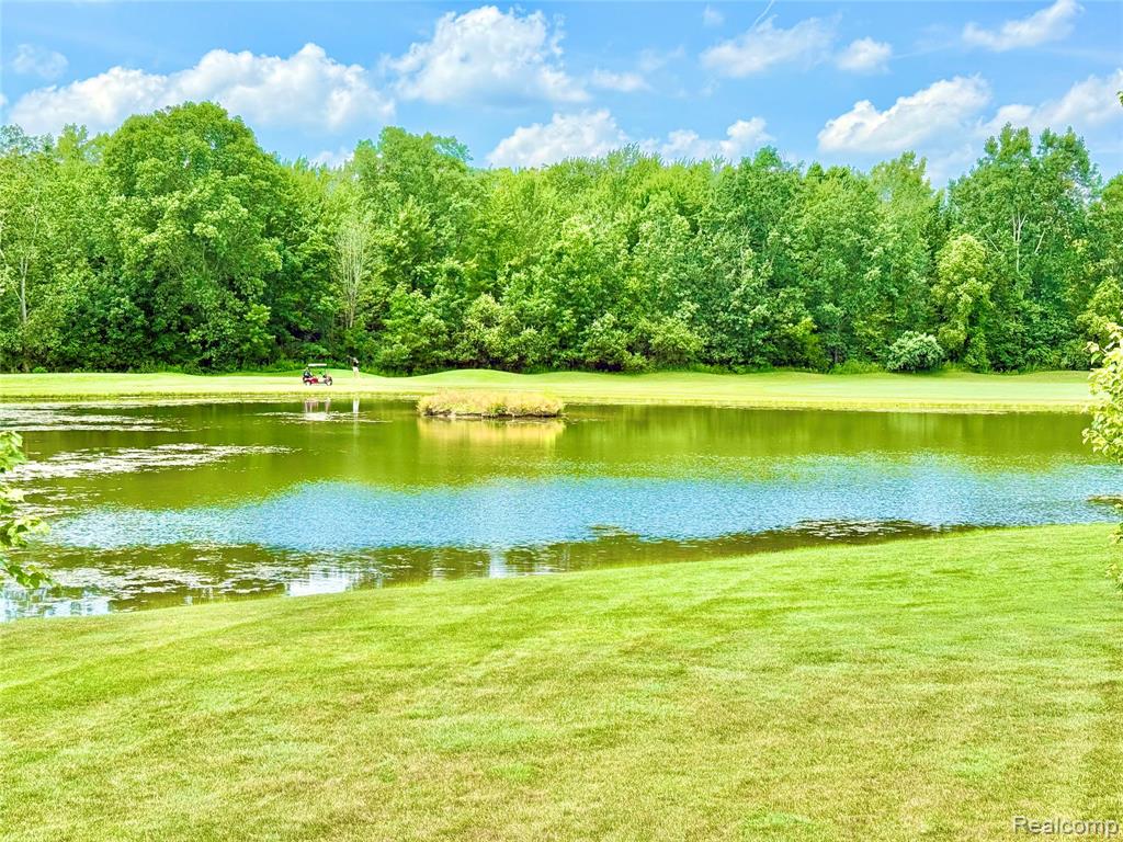 6426 Club Court W, Grand Blanc, MI 48439 — Photo 5