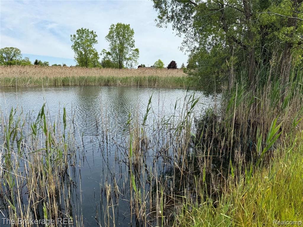 3020 Merwin Road, Lapeer, MI, 48446