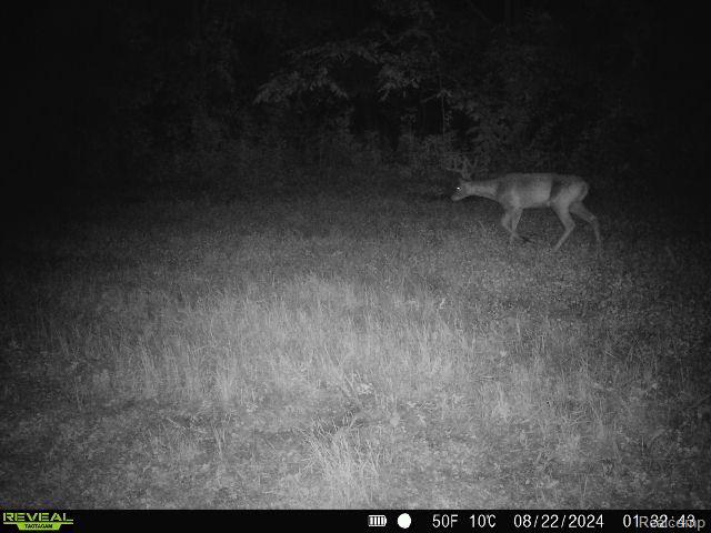 V/L BLAKE Road, Jackson, MI 49201 — Photo 82