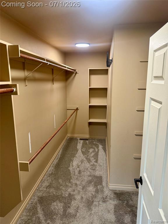 3780 Lake Lapeer Drive, Metamora, MI 48455 — Photo 39