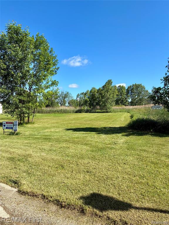 39 Deer Park, Capac, MI 48014 — Photo 3