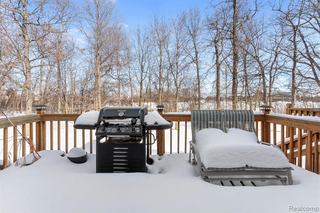 23664 W Lake Circle, Brownstown, MI 48183 — Photo 18
