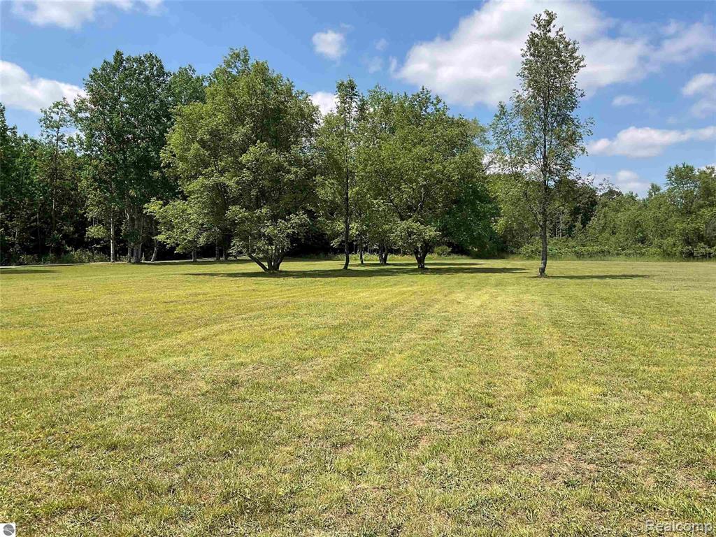 10694 Freeman Road, Mesick, MI 49668 — Photo 26